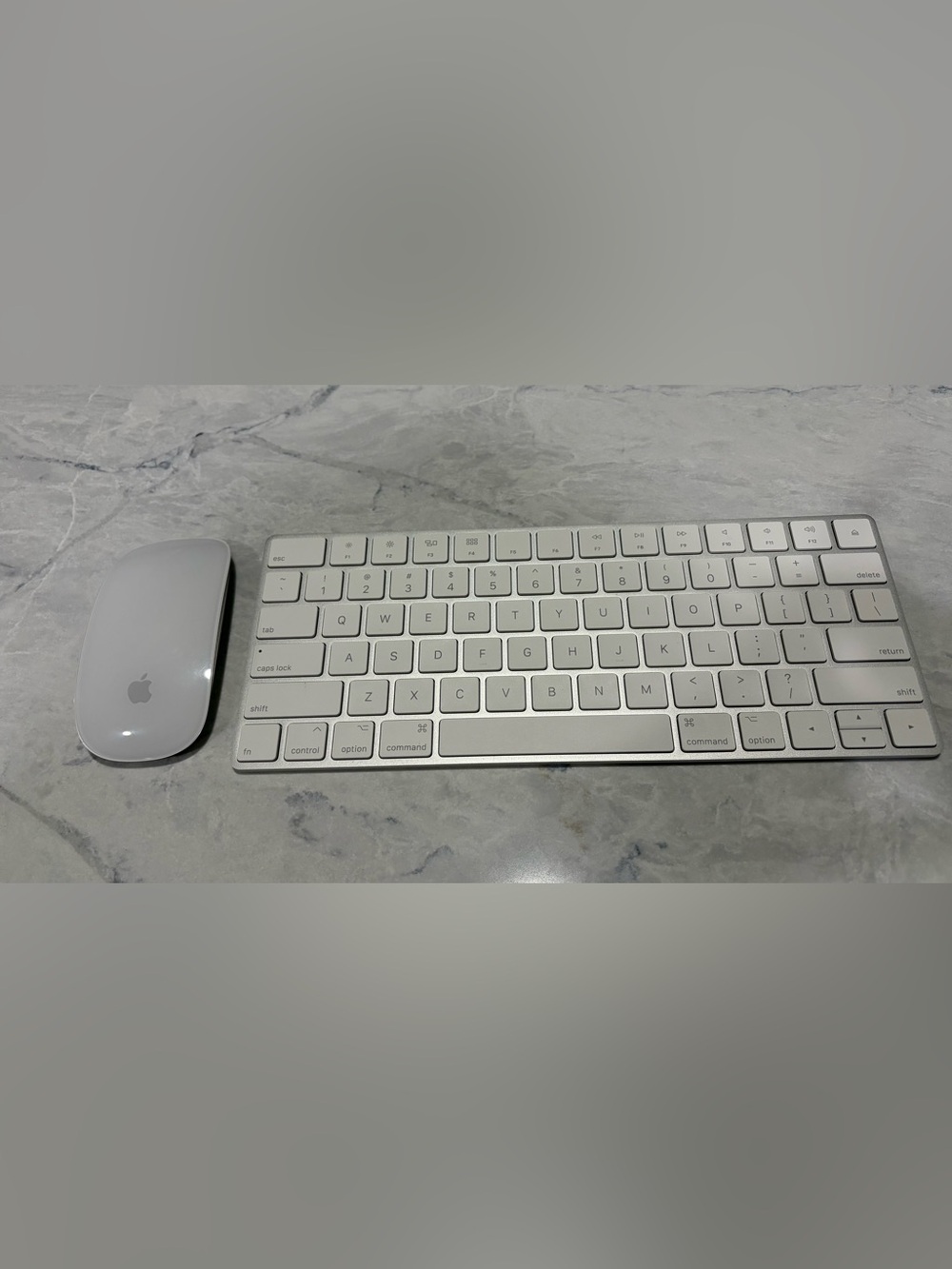 Use APPLE Magic Keyboard a1644 WITH APPLE Mouse a1657